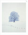 Tree in winter by Anonymous