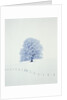 Tree in winter by Anonymous