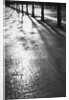 Sunlight reflecting on wet road by Anonymous