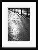 Sunlight reflecting on wet road by Anonymous