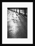 Sunlight reflecting on wet road by Anonymous