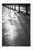 Sunlight reflecting on wet road by Anonymous