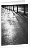 Sunlight reflecting on wet road by Anonymous