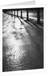 Sunlight reflecting on wet road by Anonymous