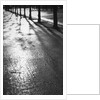 Sunlight reflecting on wet road by Anonymous