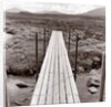 Wooden bridge over brook by Anonymous