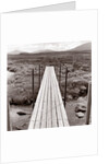 Wooden bridge over brook by Anonymous