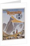 Yosemite National Park Poster by Don Perceval