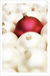 White Christmas tree decorations and a red one by Anonymous