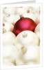 White Christmas tree decorations and a red one by Anonymous