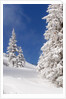 Snowcovered landscape by Anonymous
