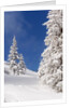 Snowcovered landscape by Anonymous
