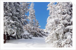 Snowcovered landscape by Anonymous
