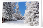 Snowcovered landscape by Anonymous