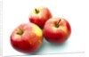 Three apples by Anonymous