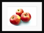 Three apples by Anonymous