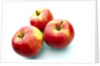 Three apples by Anonymous