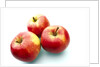 Three apples by Anonymous