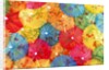 Colourful paper shades by Anonymous