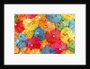 Colourful paper shades by Anonymous