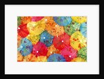 Colourful paper shades by Anonymous