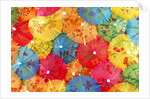Colourful paper shades by Anonymous