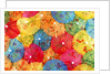 Colourful paper shades by Anonymous