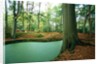 Lake in a wood by Anonymous