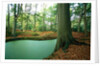 Lake in a wood by Anonymous