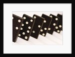 Dominoes by Anonymous