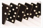 Dominoes by Anonymous