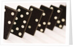 Dominoes by Anonymous