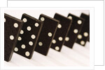 Dominoes by Anonymous