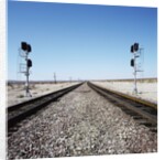 Railroad tracks running through desert setting by Anonymous
