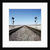 Railroad tracks running through desert setting by Anonymous