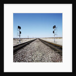 Railroad tracks running through desert setting by Anonymous