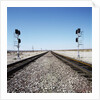 Railroad tracks running through desert setting by Anonymous