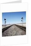 Railroad tracks running through desert setting by Anonymous