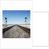 Railroad tracks running through desert setting by Anonymous