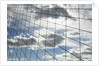 Sky seen through suspension cables by Anonymous