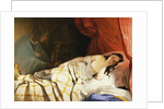 The Dream by Friedrich von Amerling