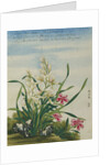 A Joss Flower, A Flower in Great Esteem Chinese Watercolor by Anonymous