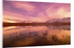 Brooks Range Reflecting in Pond, Alaska by Anonymous