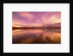Brooks Range Reflecting in Pond, Alaska by Anonymous