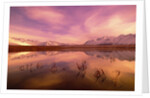 Brooks Range Reflecting in Pond, Alaska by Anonymous