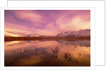 Brooks Range Reflecting in Pond, Alaska by Anonymous