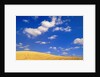 Cumulus Clouds and Wheat Fields in Fall, Washington by Anonymous