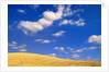 Cumulus Clouds and Wheat Fields in Fall, Washington by Anonymous