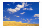 Cumulus Clouds and Wheat Fields in Fall, Washington by Anonymous