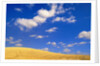 Cumulus Clouds and Wheat Fields in Fall, Washington by Anonymous